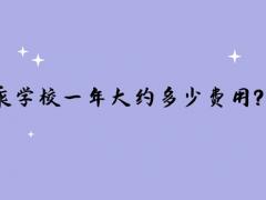 讀空乘學(xué)校一年大約多少費(fèi)用？