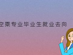 空乘畢業(yè)生可以去高鐵上班嗎？